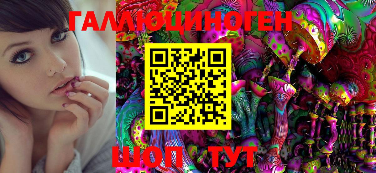 Псилоцибиновые грибы Cubensis Камень-на-Оби