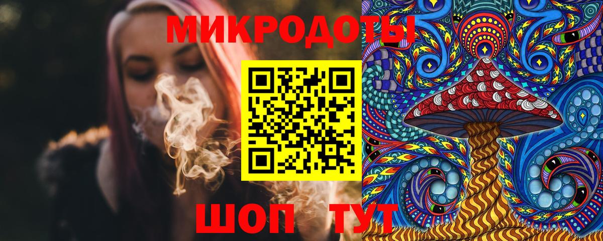 Камень-на-Оби  что такое   Вход с VPN  Галлюциногенные грибы Magic Shrooms 