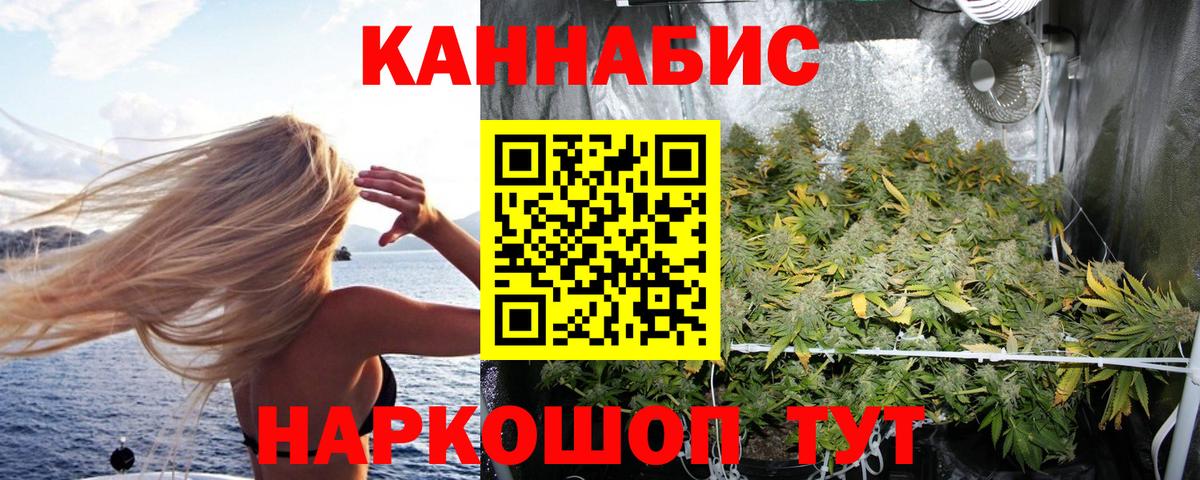 Каннабис сатива Камень-на-Оби
